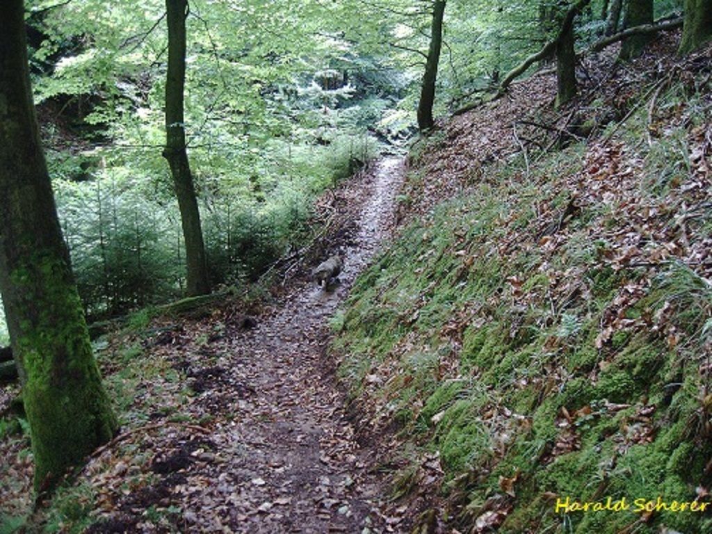 DHW0017.jpg